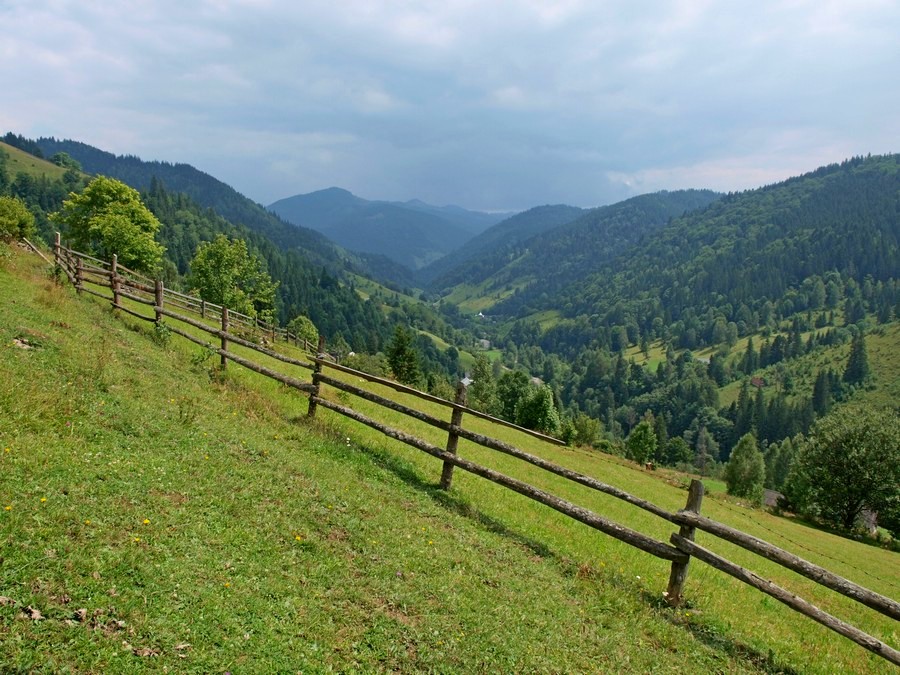 Łąki nad Dzembronią (fot. Paweł Klimek)