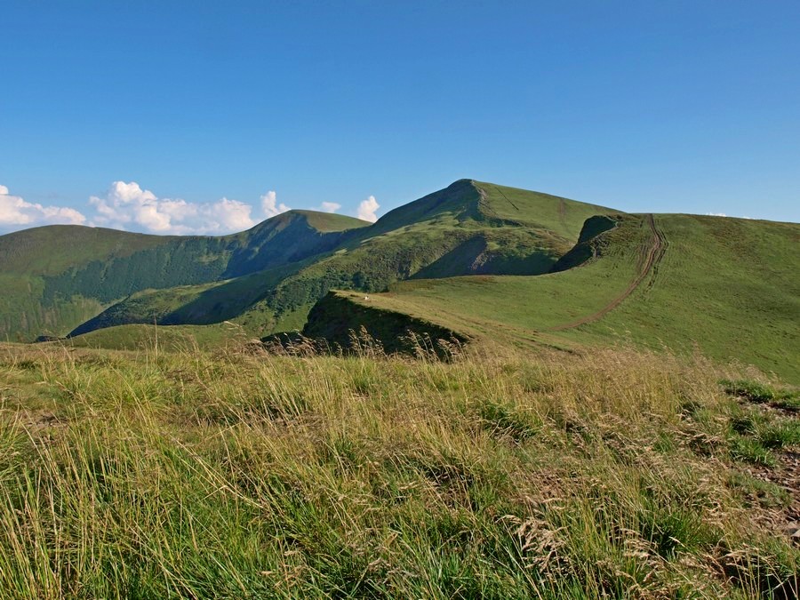 Z widokiem na Bliźnicę - najwyższy szczyt Świdowca (fot. Paweł Klimek)