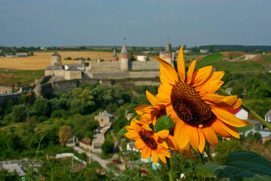 Panorama Kamieńca Podolskiego (fot. Rafał Bartosz)