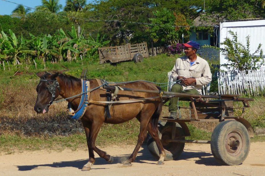 Pinar del Rio (fot. Karolina Rostek)