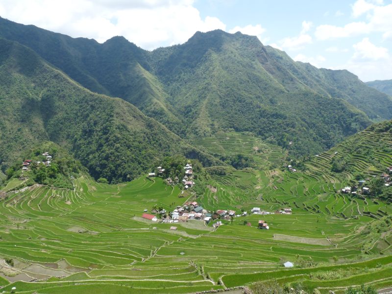 Pola ryżowe w Batad (fot. Darek Dąbrowski)