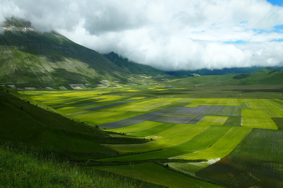 Płaskowyż Castelluccio (fot. Krzysztof Korn)