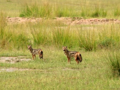 PN Murchison Falls, fot. T. Liptak