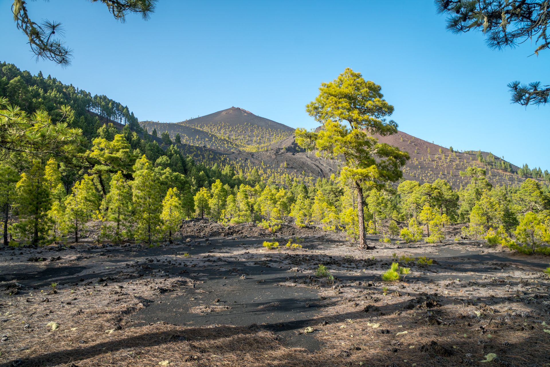 Ruta de los Volcanes (fot. Alicja Rapsiewicz)