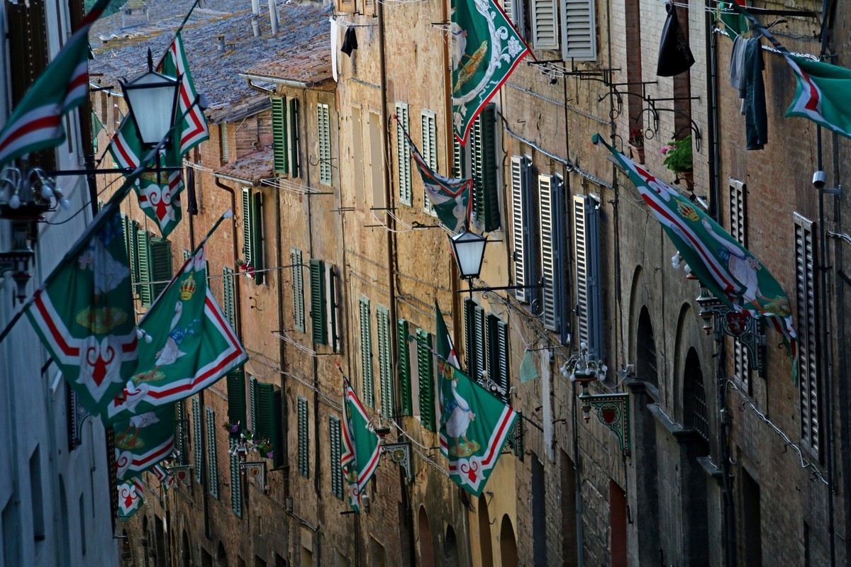 Siena, (fot. T. Liptak)