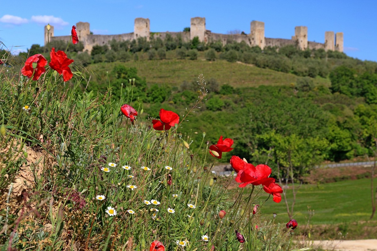 Podczas spaceru w rejonie Monteriggioni, (fot. T. Liptak)