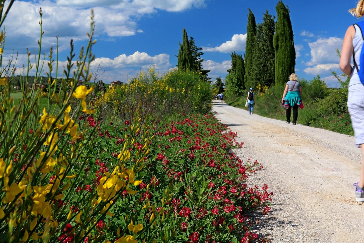 Dolina d'Orcia - klasyka Toskanii, (fot. T. Liptak)