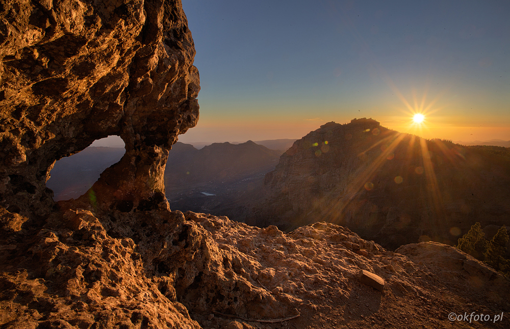 Pico (fot. S. Adamczak, okfoto.pl)