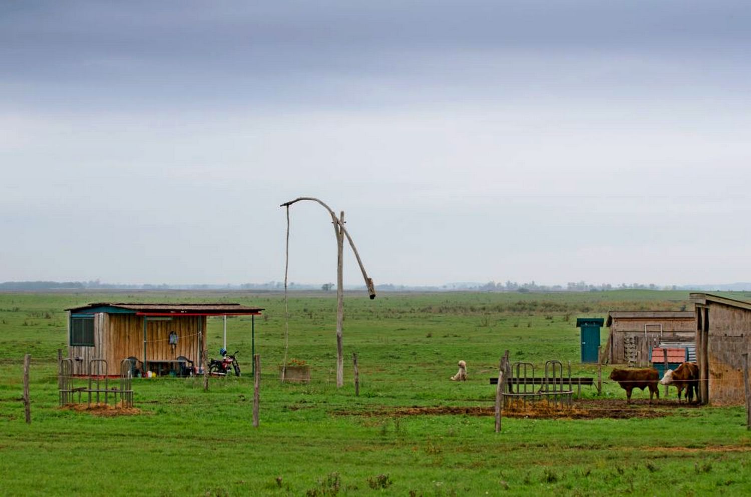 krajobraz puszty, fot. M. Dymek