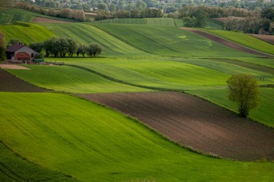 Ponidzie  /fot. S. Adamczak/