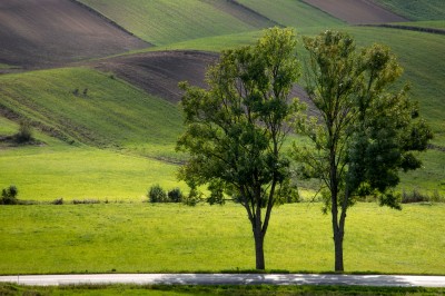 Ponidzie  /fot. S. Adamczak/