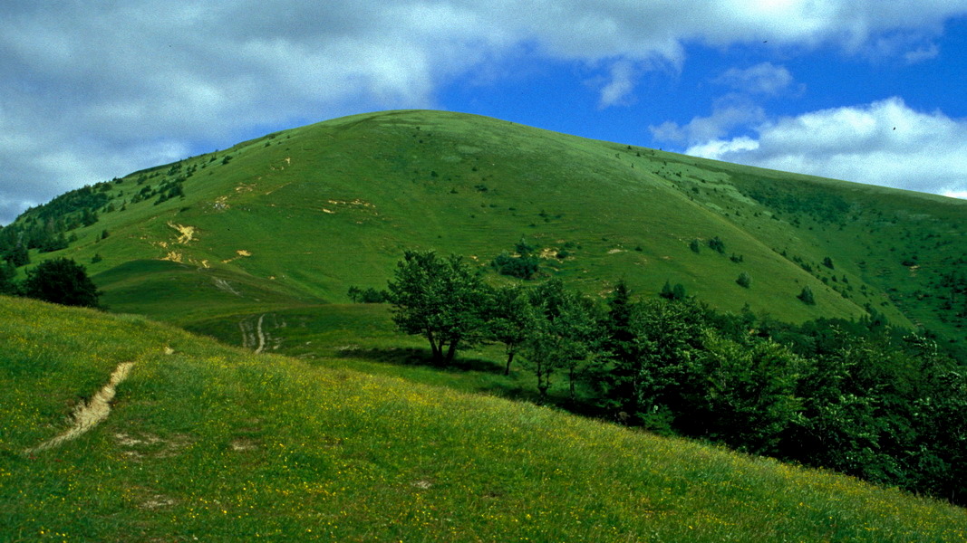 Połoniny Wielkiej Fatry (fot. Paweł Klimek)