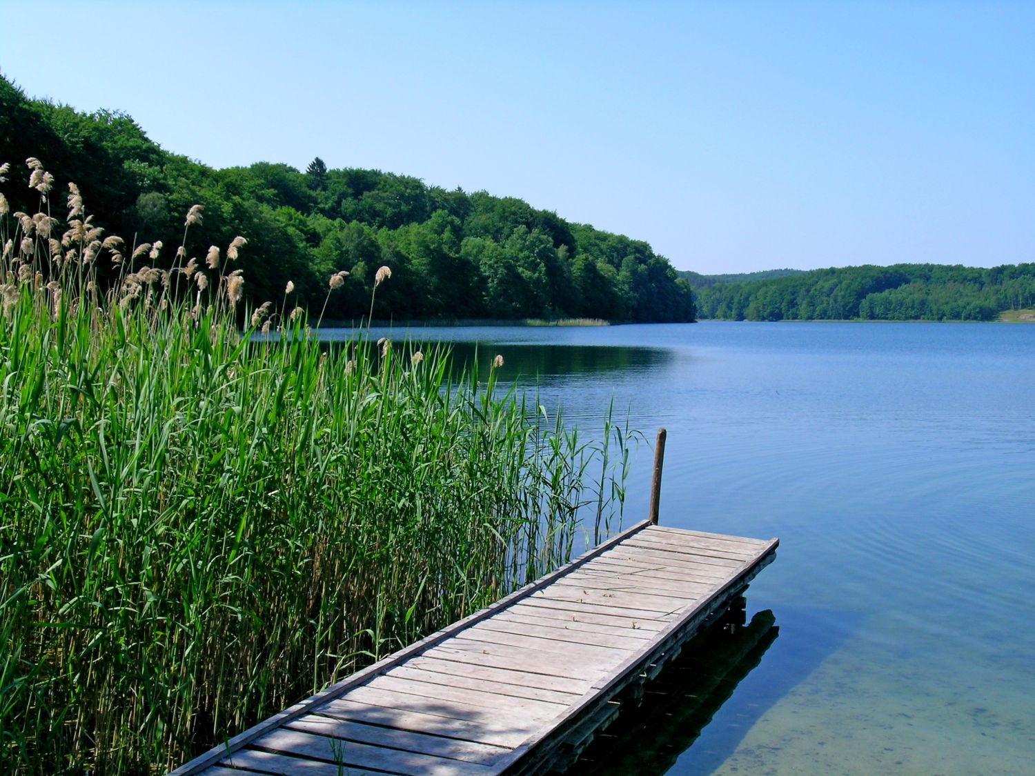 Tradycyjna winnica pod Zieloną Górą (fot. Paweł Klimek)