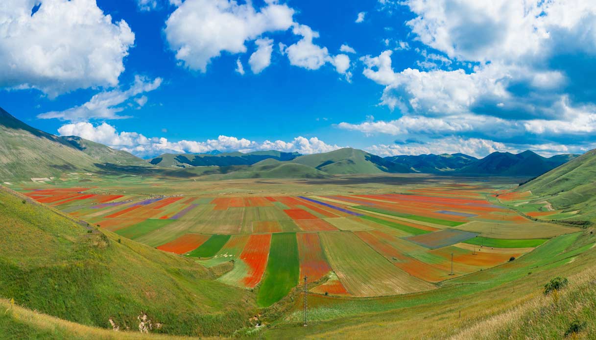 Płaskowyż Castelluccio i kwitnące kwiaty