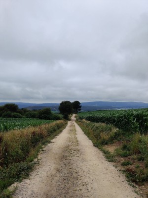 W drodze na koniec świata (fot. Łukasz Śledziecki)