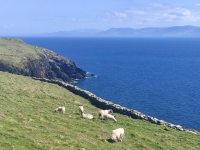 Półwysep Dingle, fot. Wojtek Wąsowicz