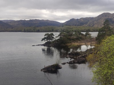 Jezioro Muckross, fot. Wojtek Wąsowicz