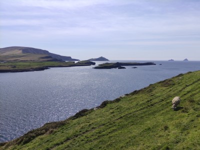 Gdzieś na półwyspie Dingle, fot. Wojtek Wąsowicz