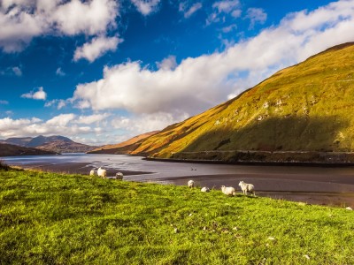 Killary Fjord w Parku Nardowym Connemara 