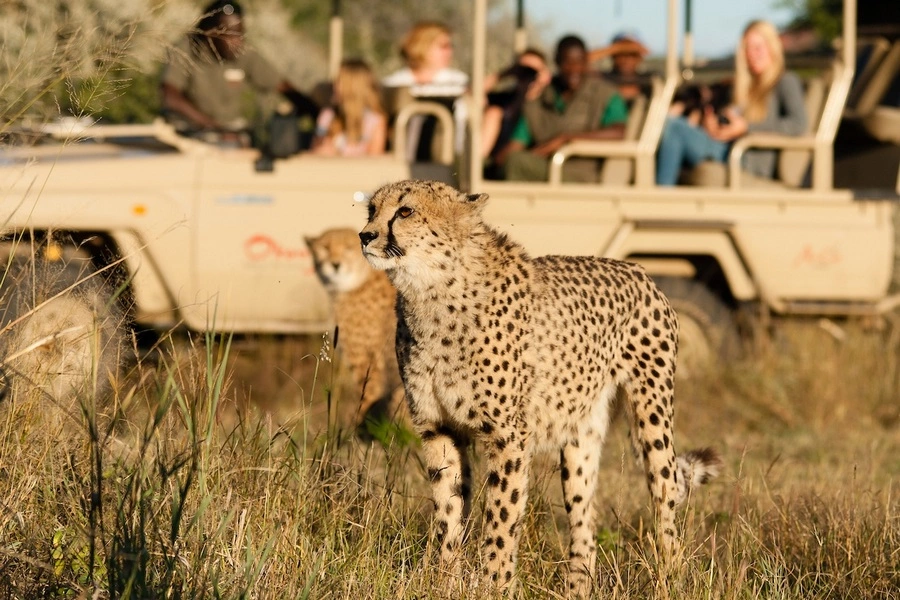 namibia