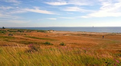 Skania na rowerze (fot. Dagmara Leśniewska)