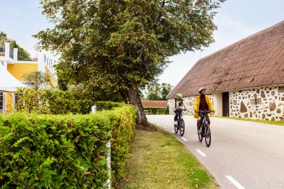 Fulltofta, zdjęcie za cykelledenskane.se (fot. Apelöga)