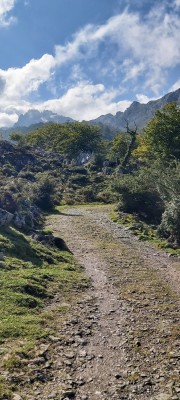 W drodze z Jezior Covadonga do Mirador de Ordiales (fot. Joanna Rogoż)