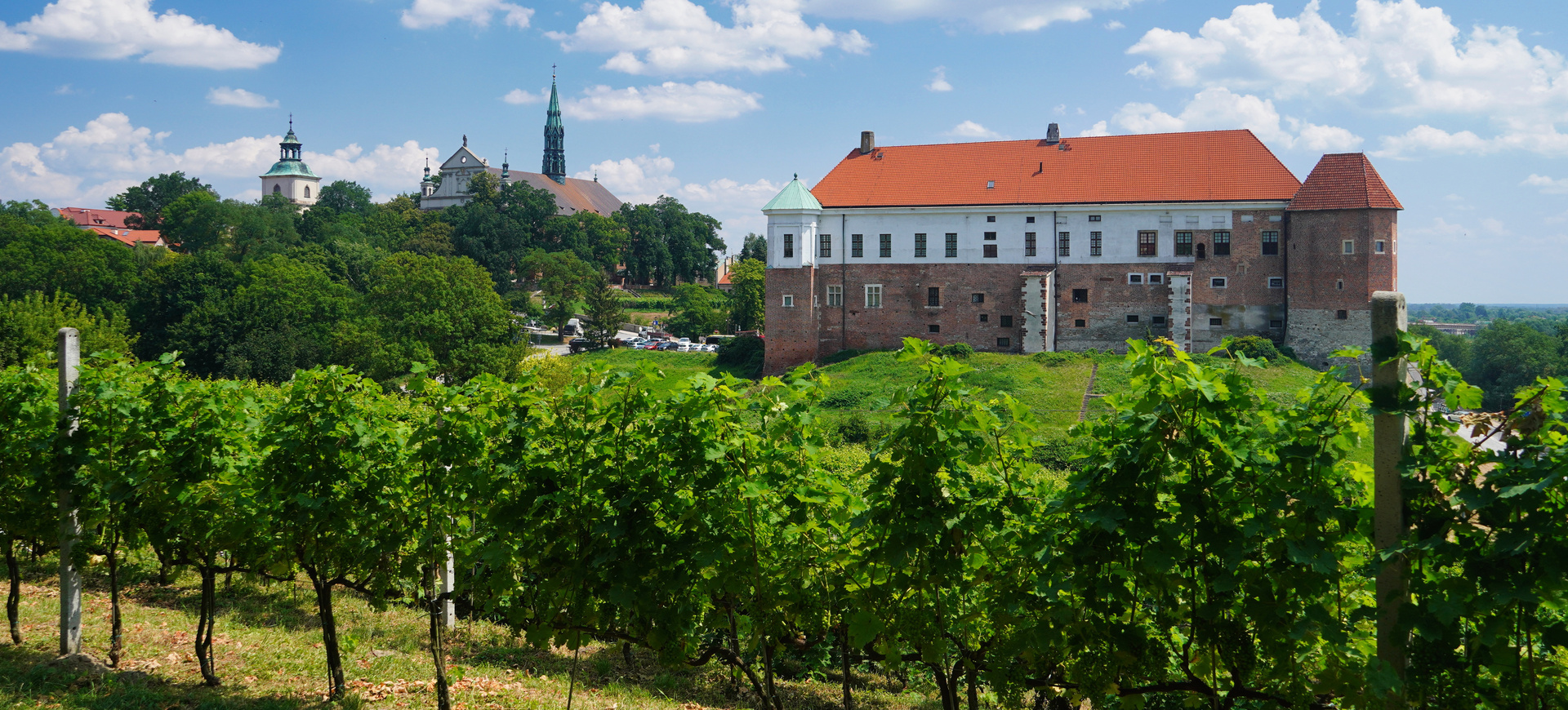 Winnice nadwiślańskie